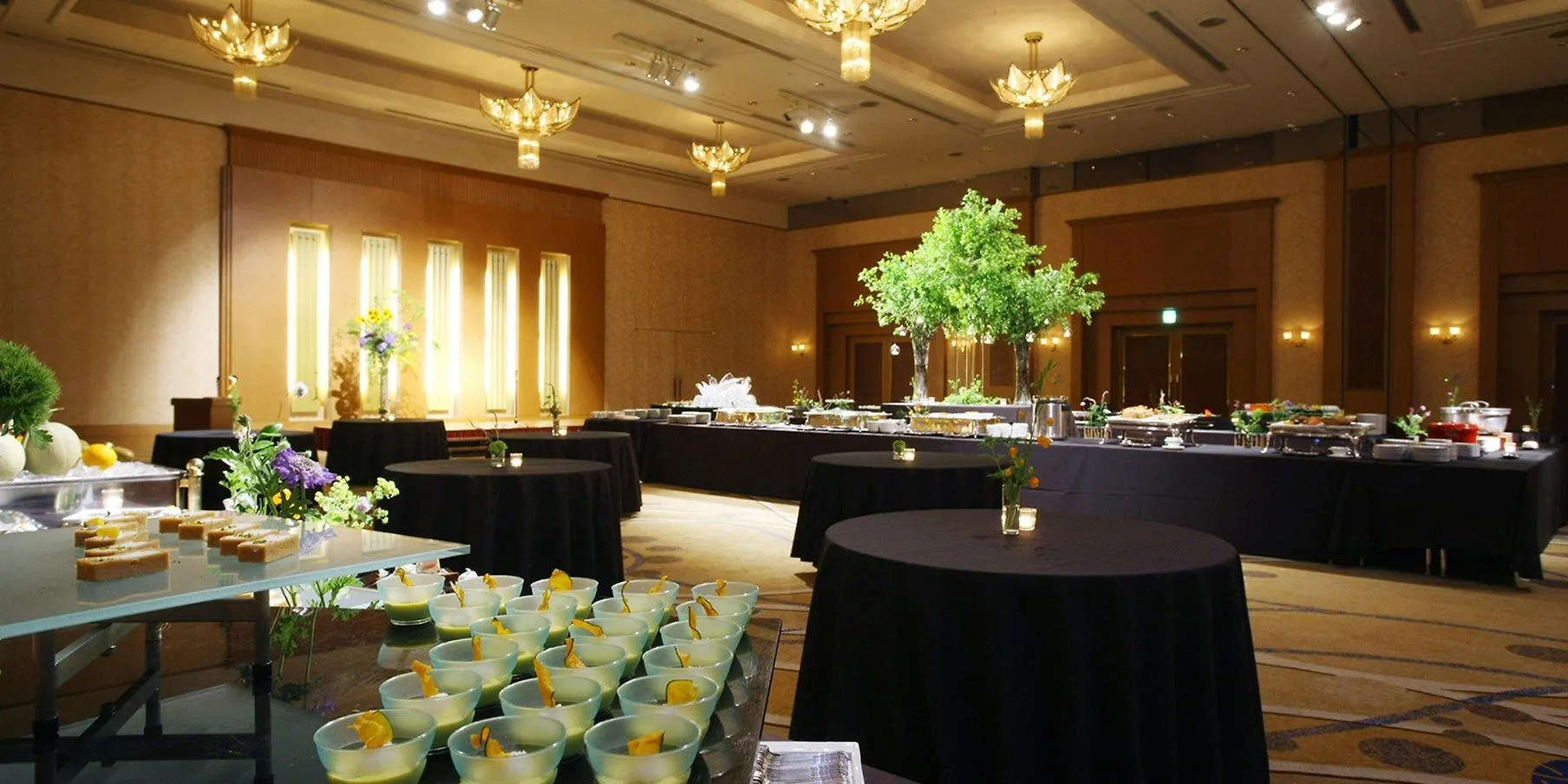 Hotel Ana Crowne Plaza Chitose By Ihg