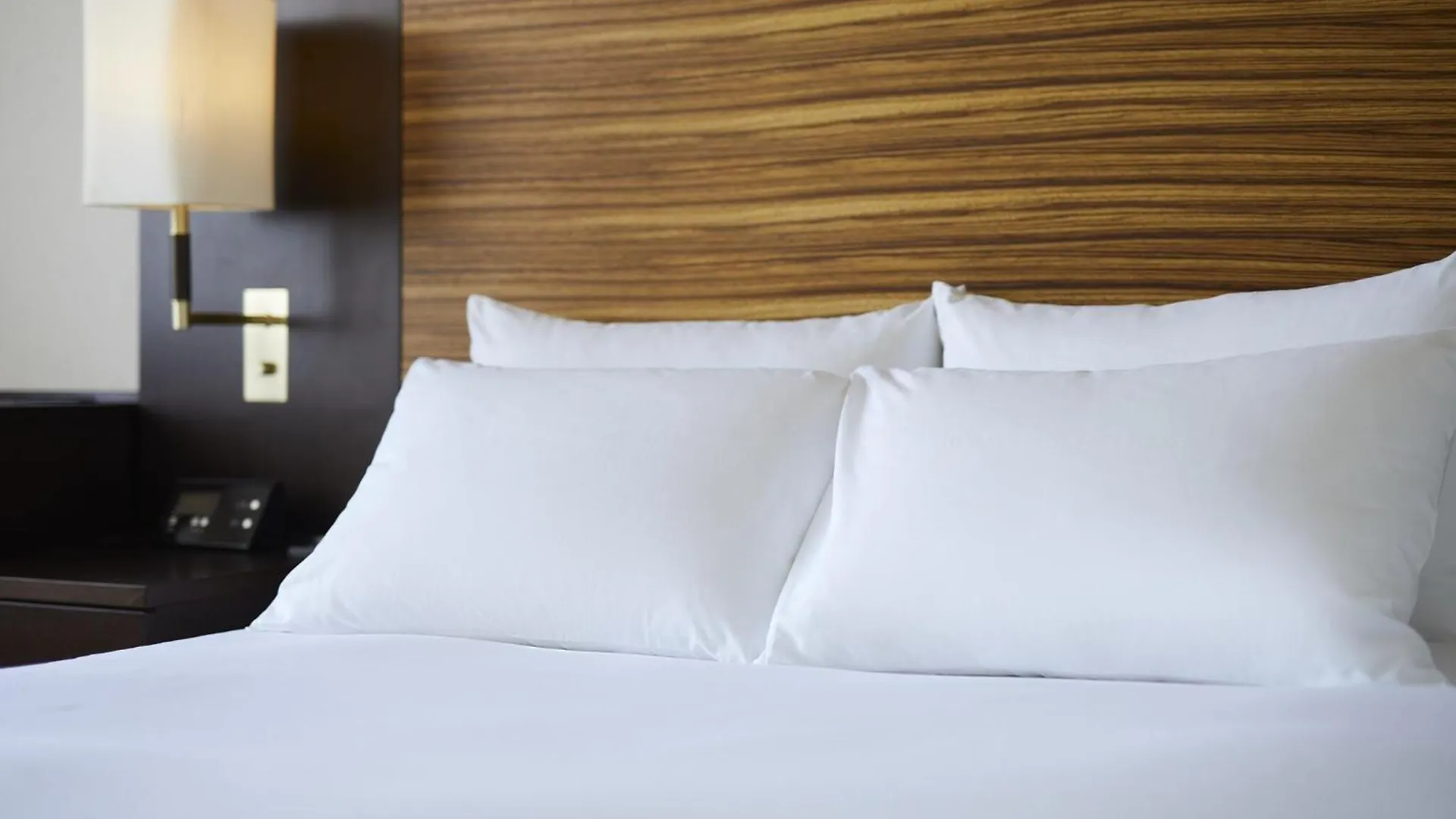 Hotel Ana Crowne Plaza Chitose By Ihg